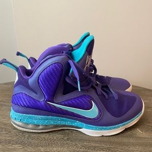 Men’s Size 12 Nike LeBron 9 Summit Lake Hornets